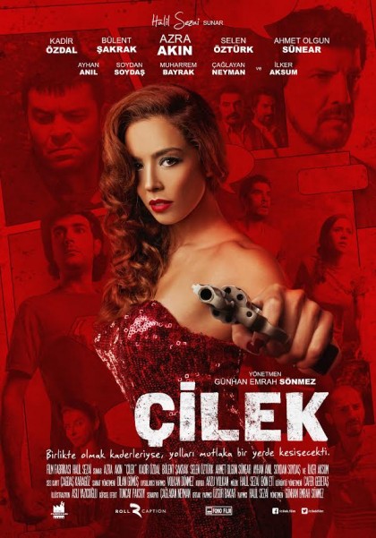 cilek-1409311179.jpg