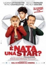 È nata una star? (2012) afişi