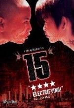 15 (2002) afişi