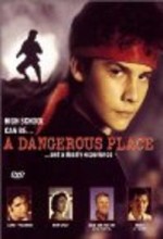 A Dangerous Place (1995) afişi