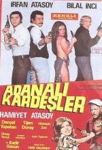 Adanalı Kardeşler (1972) afişi