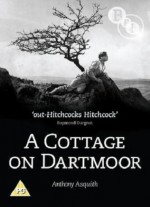 A Cottage on Dartmoor (1929) afişi