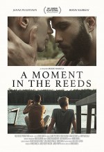 A Moment in the Reeds (2017) afişi