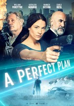 A Perfect Plan (2020) afişi