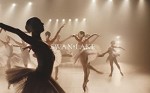 A Swan Lake (2019) afişi