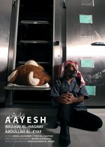 Aayesh (2010) afişi