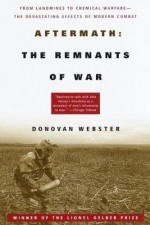 Aftermath: The Remnants Of War (2001) afişi
