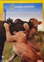 Amansız Düşmanlar: Aslanlar ve Bufalolar (2006) afişi