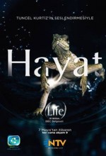 Bbc Hayat - Primatlar (2009) afişi