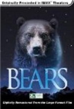 Bears (l)