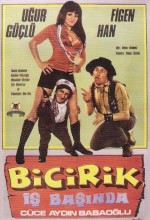 Bicirik iş Başında (1971) afişi