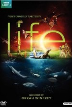 Bbc Hayat - Hayat Yapımı (2010) afişi