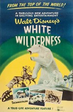 Beyaz çöl (1958) afişi