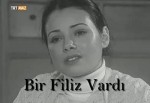 Bir Filiz Vardı (1998) afişi
