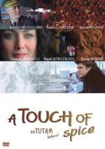 Bir Tutam Baharat (2003) afişi Bir Tutam Baharat (2003) afişi