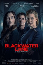 Blackwater Lane (2024) afişi