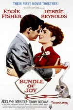 Bundle Of Joy (1956) afişi