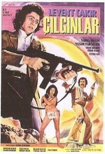 Çılgınlar (1973) afişi