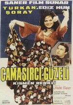 Çamaşırcı Güzeli (1966) afişi