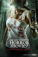 Can You Survive a Horror Movie? (2012) afişi