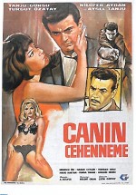 Canın Cehenneme (1965) afişi