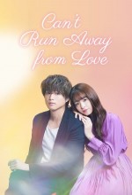 Can't Run Away from Love (2021) afişi