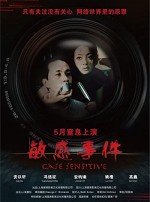 Case Sensitive (2010) afişi