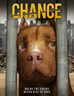 Chance (2019) afişi