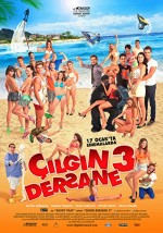 Çılgın Dersane 3 (2014) afişi
