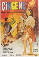 Çingene (1966) afişi