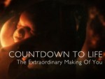 Countdown to Life: The Extraordinary Making of You (2015) afişi