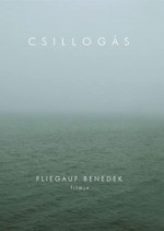 Csillogás (2008) afişi