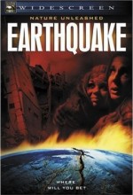 Doğa Felaketi: Deprem (2004) afişi