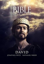 David (1997) afişi