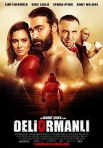 Deliormanlı (2016) afişi