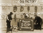 Dog Factory  (1904) afişi