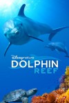 Dolphin Reef afişi Dolphin Reef afişi