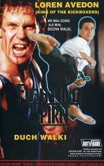 Fighting Spirit (1992) afişi