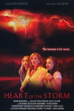 Fırtınanın Ortasında (2004) afişi