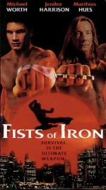 Fists Of Iron (1995) afişi