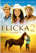 Flicka 2 (2010) afişi