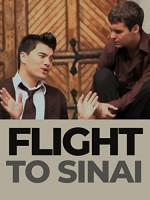 Flight To Sinai (2009) afişi
