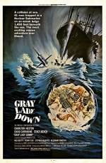 Gray Lady Down (1978) afişi