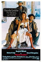 Hannie Caulder (1971) afişi