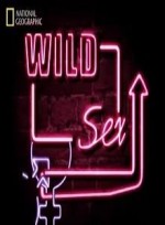 Hayvanlarda Seks (2000) afişi