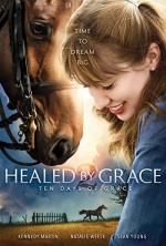 Healed by Grace 2 (2018) afişi