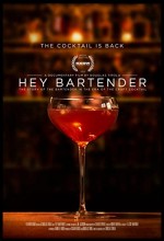 Hey Bartender (2013) afişi