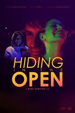 Hiding In The Open (2009) afişi