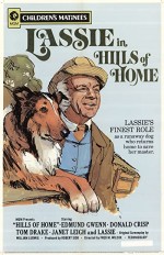 Hills Of Home (1948) afişi