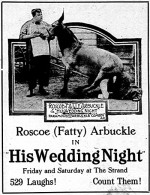 His Wedding Night (1917) afişi